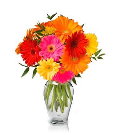 10 Gerberas Bouquet